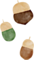 どんぐり